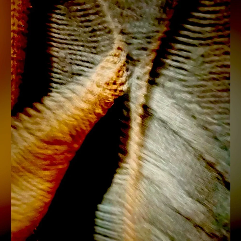 Theory Cardigan Women 2 Cotton Wool Cashmere Blend Black  Scarf Attach - Picture 9 of 15